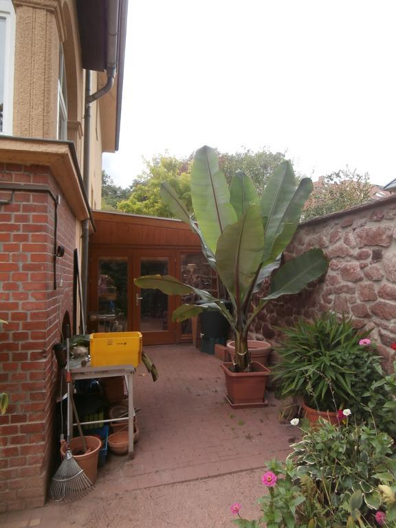 Ferienwohnung Saaleblick Halle  Buitenkant foto